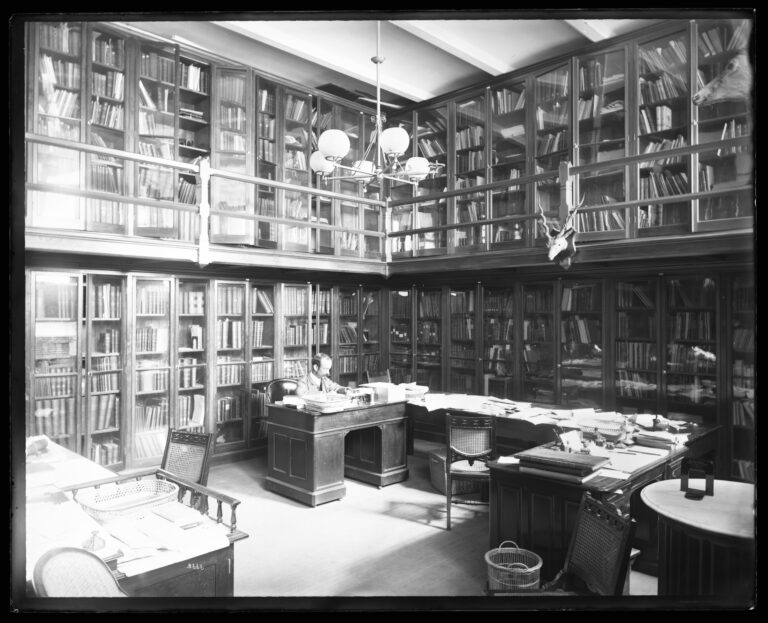 What is the Difference between Searching and Researching?